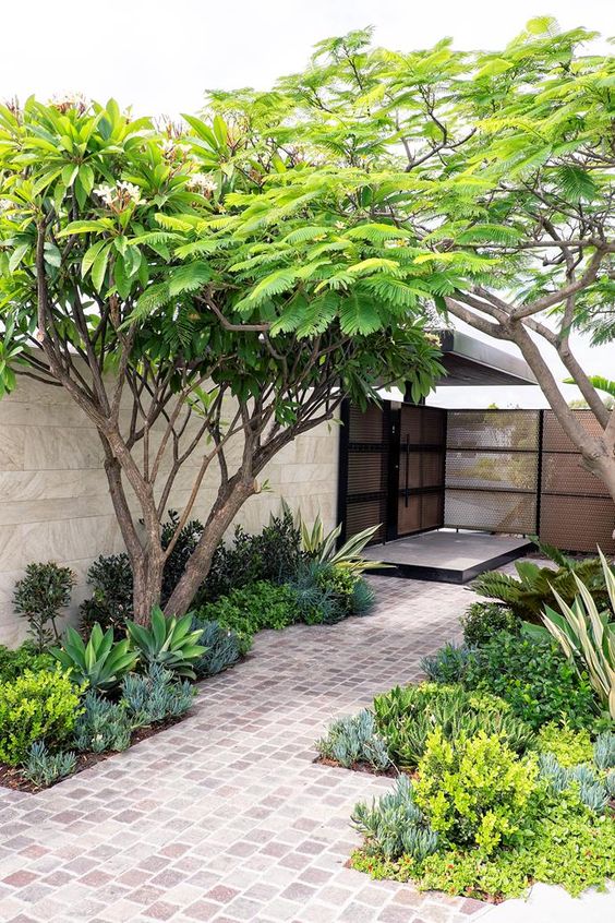 Thiết kế thi công cảnh quan sân vườn tại hồ chí minh