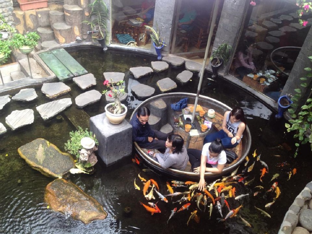 Hồ cá Koi cho quán cà phê
