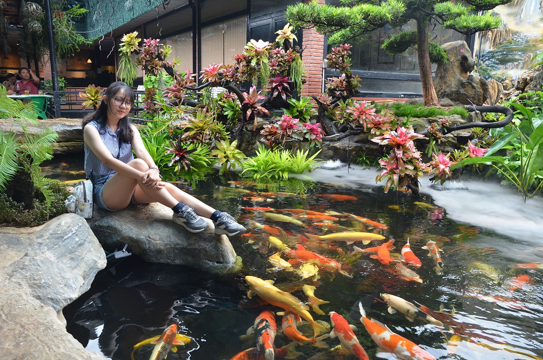 hồ cá koi cho quán cà phê ngoài trời