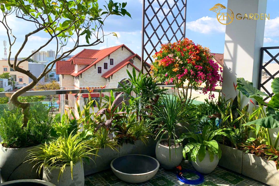 Sân vườn sân thượng